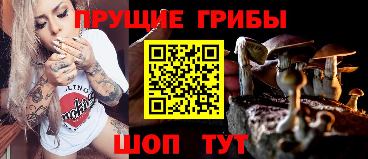 Йошкар-Ола  как найти   Галлюциногенные грибы Magic Shrooms  Вход с VPN  Псилоцибиновые грибы ЛСД 